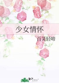 少女情怀